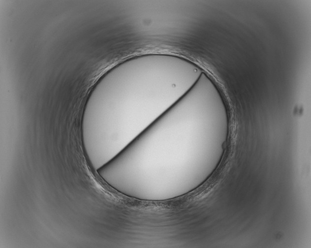 X0000111220433200907021004