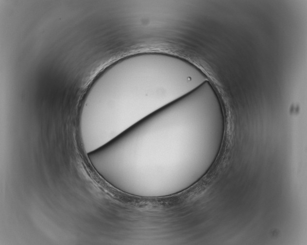 X0000111220434200907021004