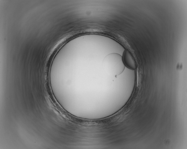 X0000111220435200907021004