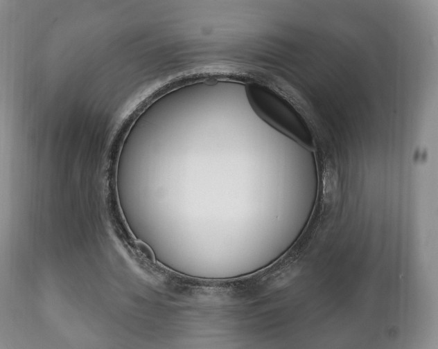 X0000111220436200907021004