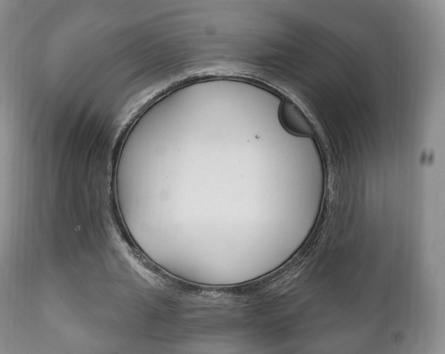 X0000111220437200907021004