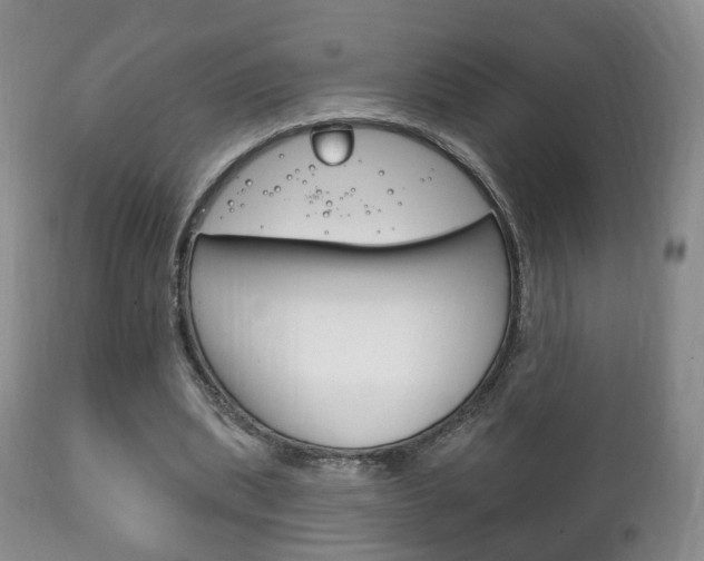 X0000111220439200907021004