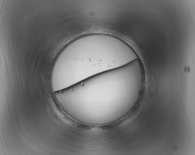 X0000111220441200907021004