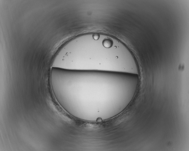 X0000111220442200907021004