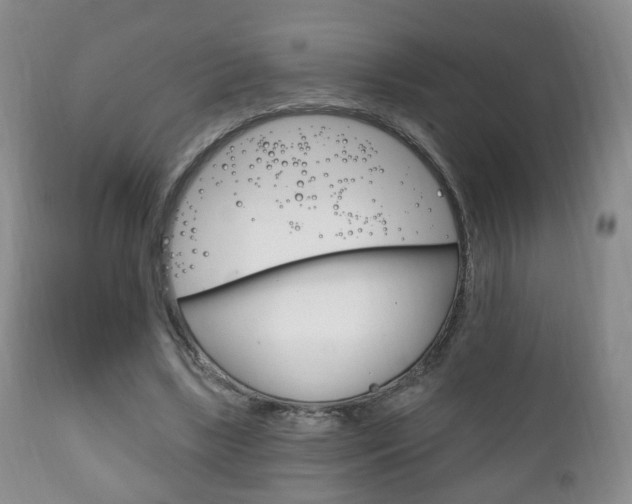 X0000111220443200907021004