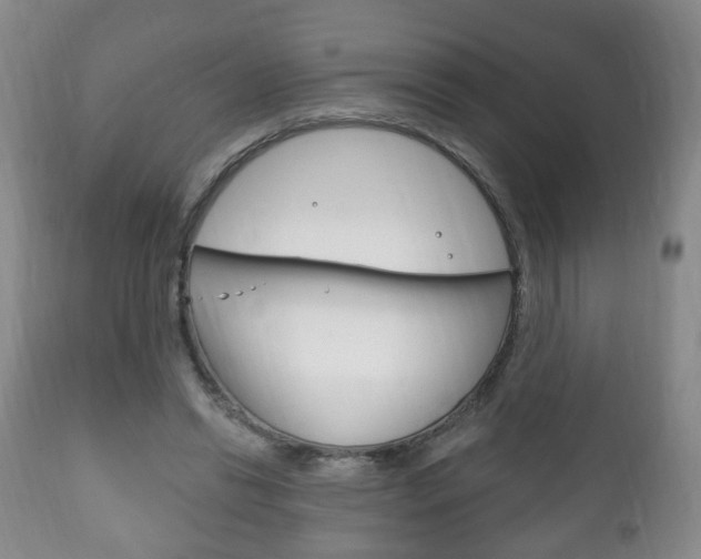 X0000111220446200907021004