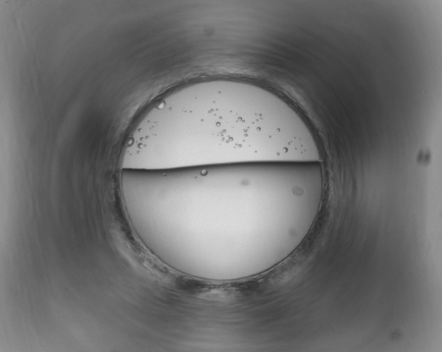 X0000111220447200907021004