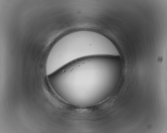 X0000111220448200907021004