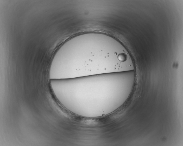 X0000111220449200907021004