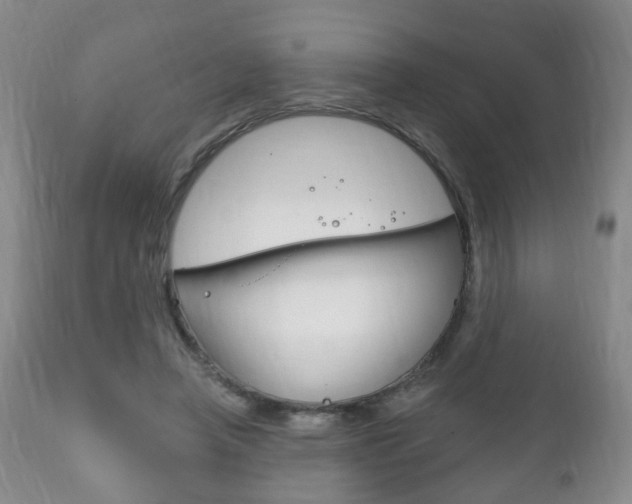 X0000111220450200907021004