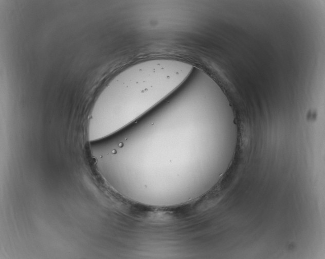 X0000111220451200907021004