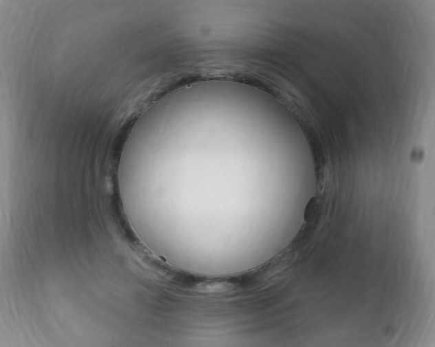 X0000111220452200907021004