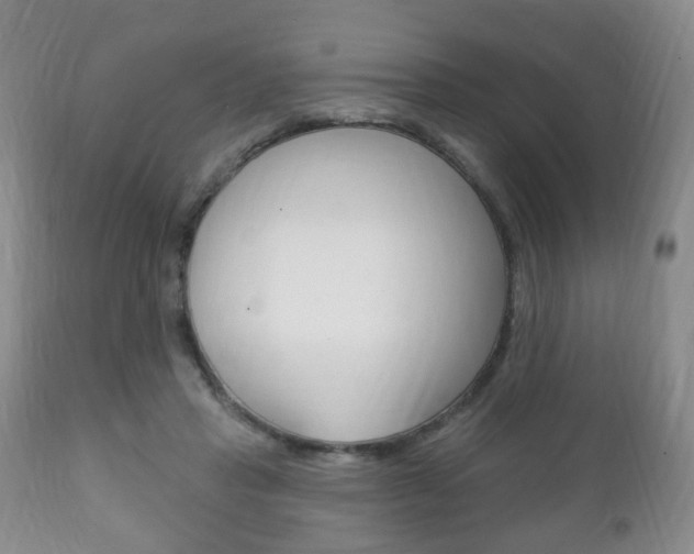 X0000111220453200907021004