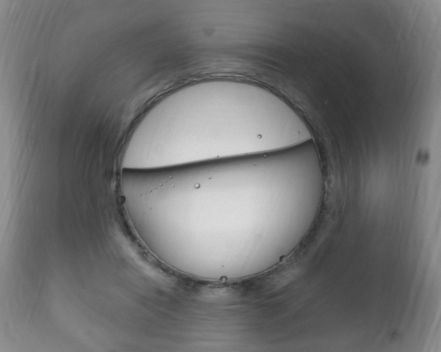 X0000111220454200907021004