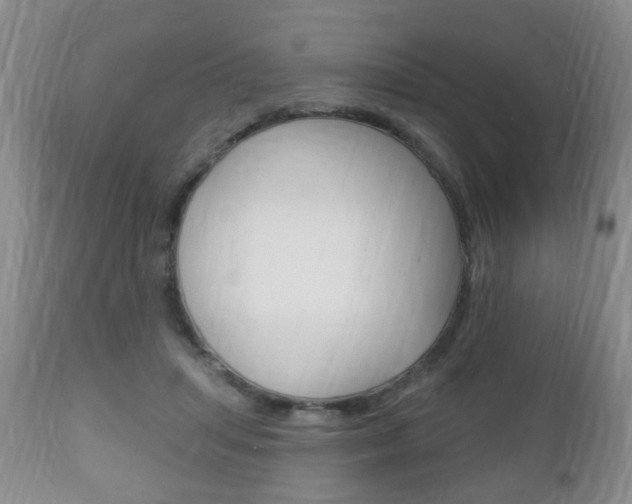 X0000111220455200907021004