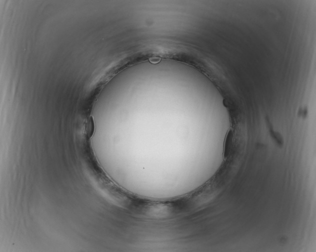 X0000111220456200907021004