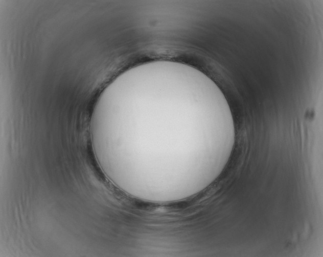 X0000111220460200907021004