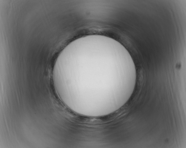 X0000111220463200907021004