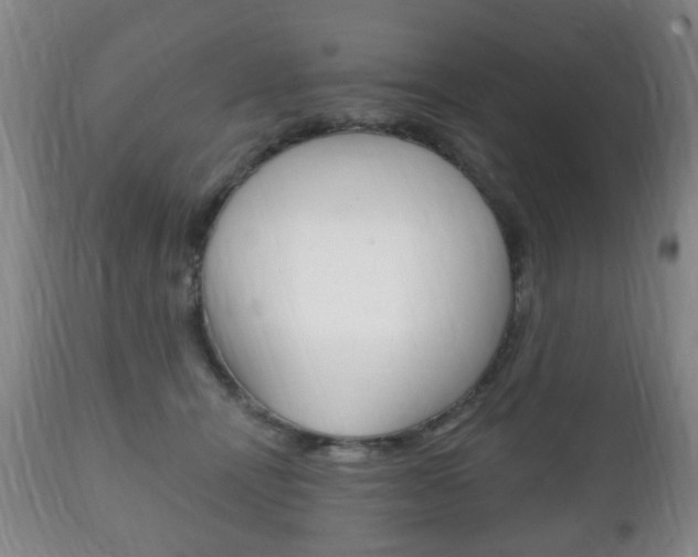 X0000111220464200907021004