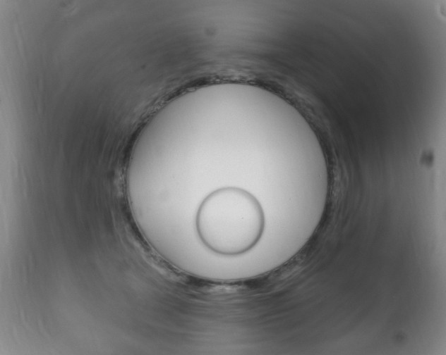 X0000111220465200907021004