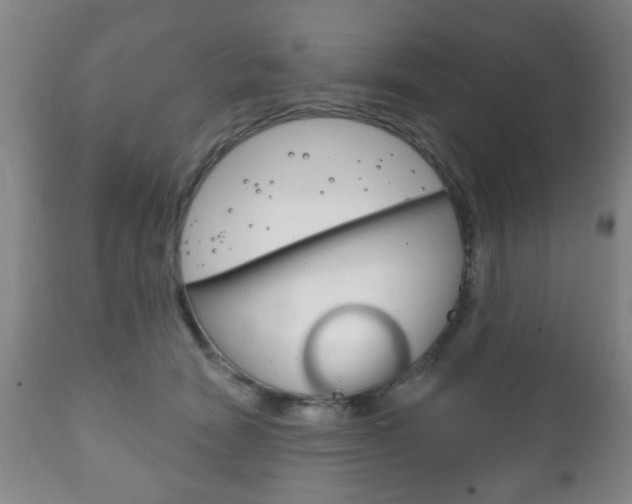 X0000111220466200907021004