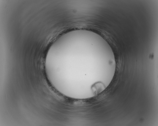 X0000111220470200907021004