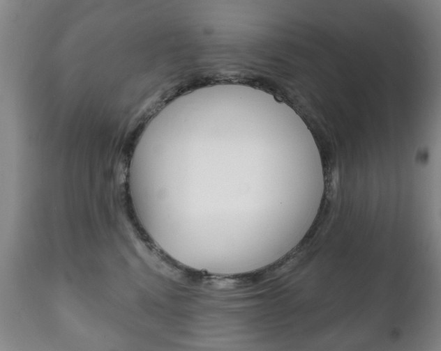 X0000111220472200907021004