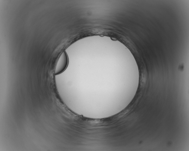 X0000111220473200907021004