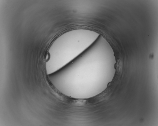 X0000111220474200907021004