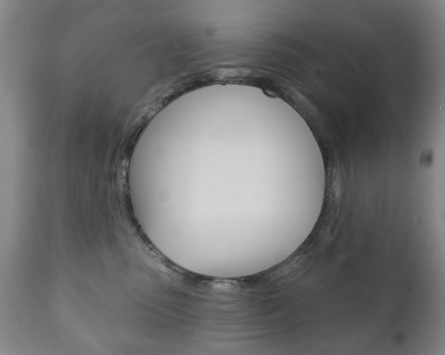 X0000111220475200907021004