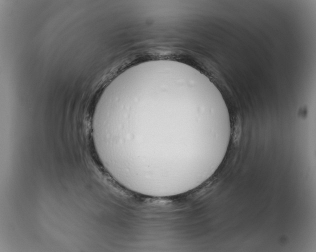 X0000111220476200907021004