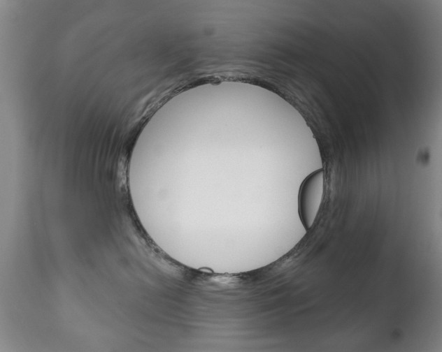 X0000111220478200907021005