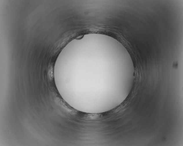 X0000111220479200907021005