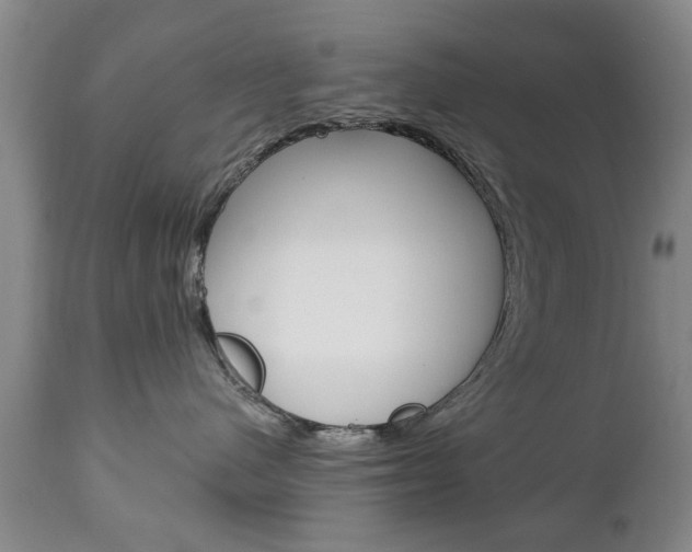 X0000111220480200907021005