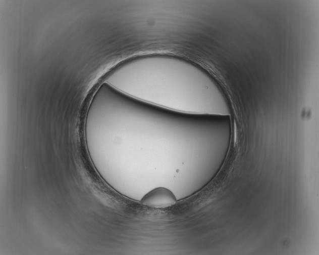 X0000111220483200907021004