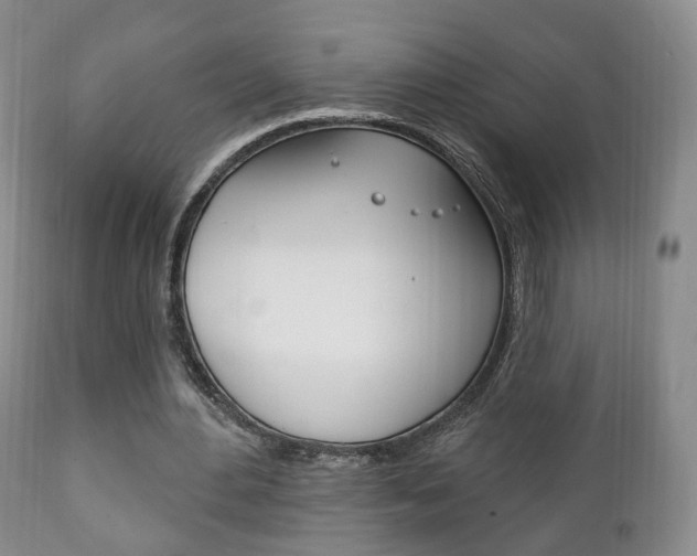 X0000111220484200907021004