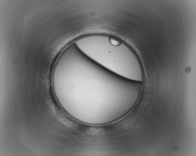 X0000111220487200907021004