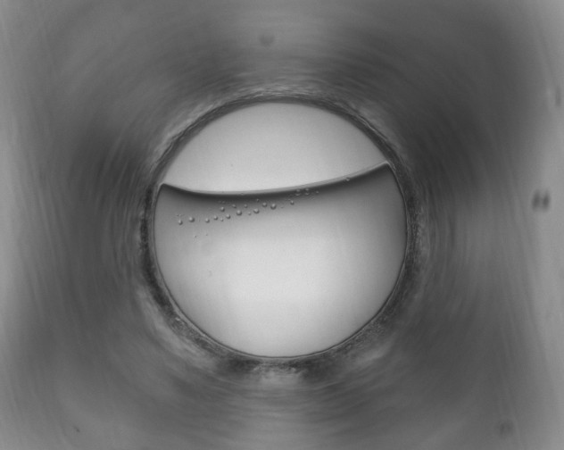 X0000111220491200907021004