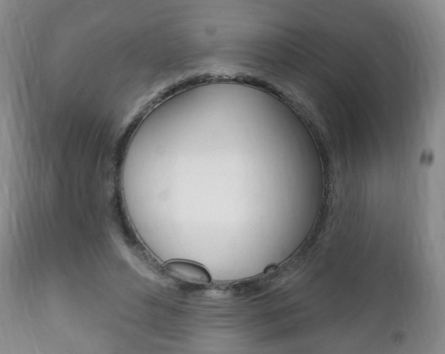 X0000111220496200907021004