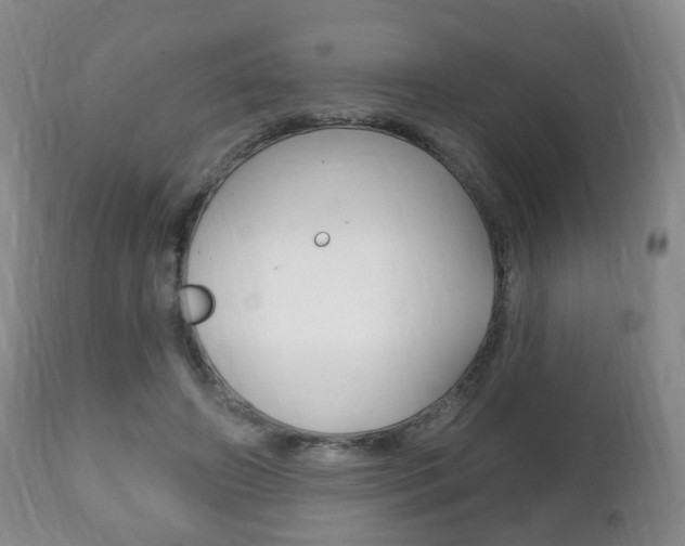 X0000111220498200907021004