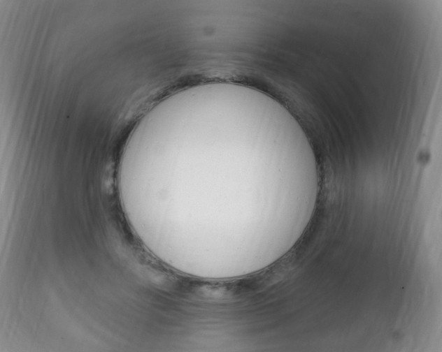 X0000111220502200907021003