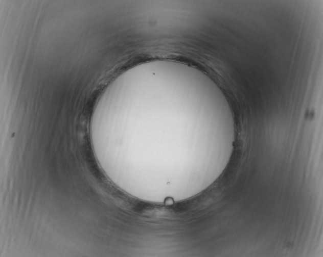 X0000111220503200907021003