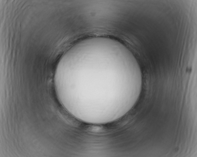 X0000111220507200907021003
