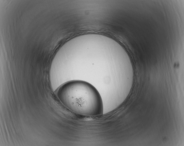 X0000111220509200907021003