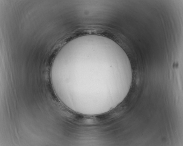 X0000111220510200907021003
