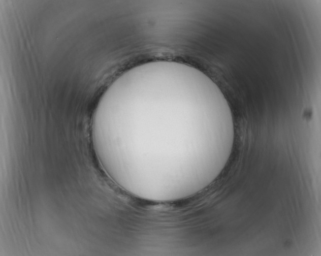 X0000111220511200907021003