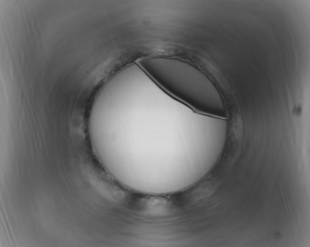 X0000111220512200907021003
