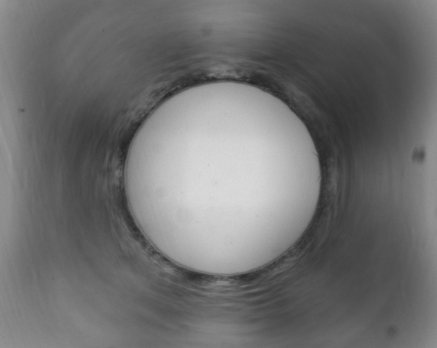 X0000111220513200907021003