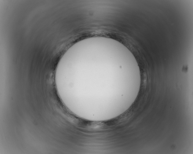 X0000111220514200907021003