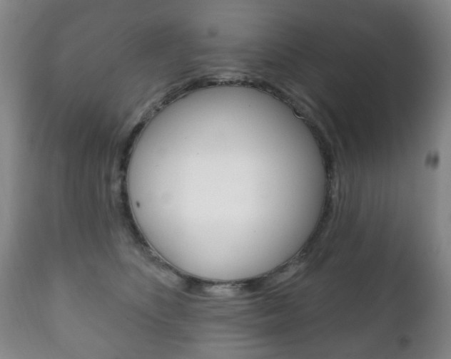 X0000111220516200907021003